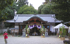 ���� �����_��