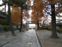 ���{��_��