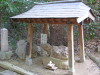 �����i��