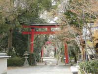 �����_��