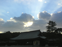 �����_�{