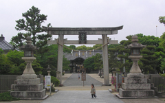 �_�c�����{