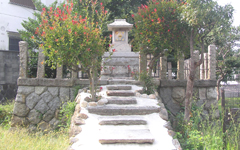 �����_��