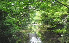 �����_�{