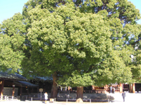 �����_�{