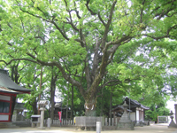 ��˗��_��