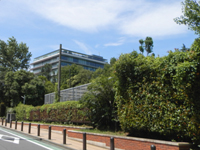 �������������w�� �������