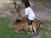 鹿に乗る子供