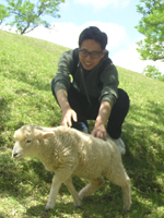 六甲山の子羊