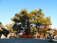 ���c�_��