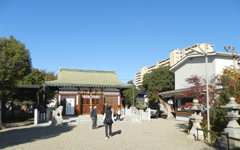 ���� �Y�y�_��