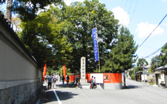 ��Ό�c�_��