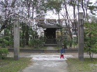 �L��_�� ���Ƌ{��