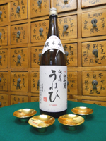 �͍��� ���˂�