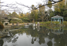 四天王寺 極楽の池
